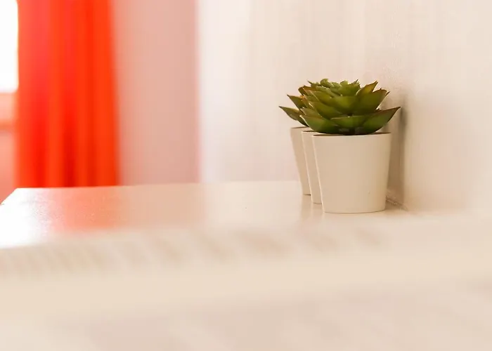 Downtown Palma By Hosty Гостевой дом