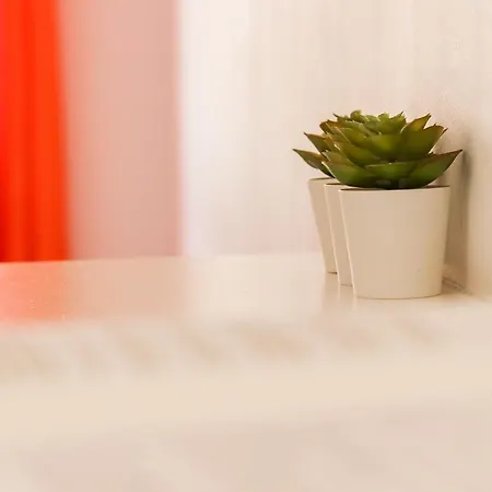 Downtown Palma By Hosty Gæstehus